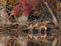 11-13-16-Piscataway-22310