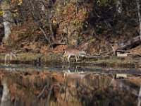 11-13-16-Piscataway-22328