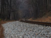 11-25-16-Patapsco Valley State Park-22846