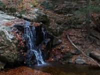 11-25-16-Patapsco Valley State Park-23030