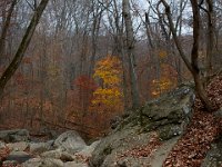 11-25-16-Patapsco Valley State Park-23050