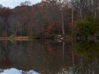 11-28-15-Mattawoman-28799