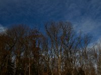 11-28-15-Mattawoman-28809