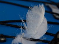 12-13-15-Piscataway-29387
