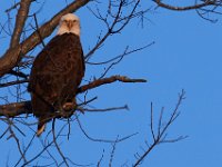 12-16-15-Mattaponi-29505