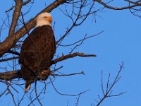 12-16-15-Mattaponi-29506