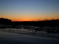 02-18-17-Mattawoman-23594