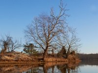02-18-17-Mattawoman-23735