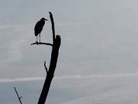 03-25-17-Piscataway-24349 1