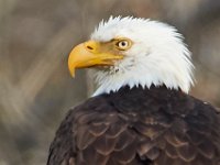 03-25-17-Piscataway-24459