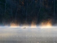 04-09-17-Mattawoman-24576