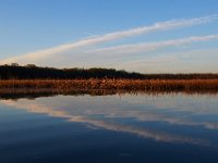 04-09-17-Mattawoman-24586