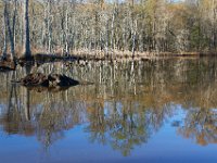 04-09-17-Mattawoman-24840