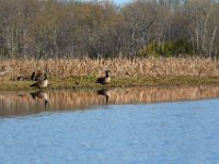 04-09-17-Mattawoman-25004