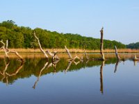 04-30-17-Nanjemoy-25541