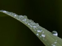 05-29-17-Nanjemoy-26794