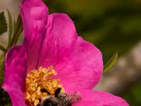 06-04-17-Piscataway-27245