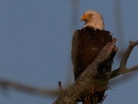 06-04-17-Piscataway-27303