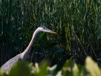 06-04-17-Piscataway-27345