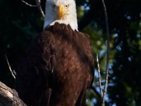 06-04-17-Piscataway-27392