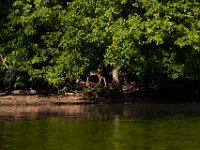 06-04-17-Piscataway-27457