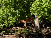 06-04-17-Piscataway-27458