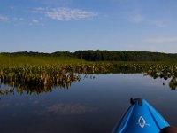 06-10-17-Mattawoman-27970