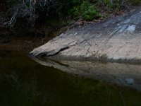 06-18-17-Ricky Gorge-29089