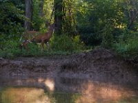 06-25-17-Piscataway-29404