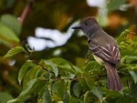 06-25-17-Piscataway-29485