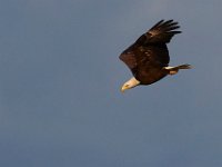 06-25-17-Piscataway-29512