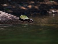 06-30-17-Rocky Gorge with T-29893