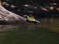 06-30-17-Rocky Gorge with T-29901