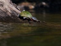 06-30-17-Rocky Gorge with T-29908