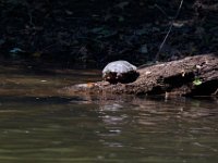 06-30-17-Rocky Gorge with T-29943