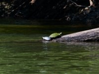 06-30-17-Rocky Gorge with T-29949