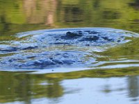 07-02-17-Rocky Gorge-West-20127