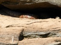 07-02-17-Rocky Gorge-West-20137