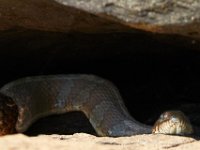 07-02-17-Rocky Gorge-West-20141