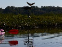 07-09-17-Rt 4 with T-20970