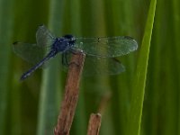 07-15-17-Nanjemoy-East-21161