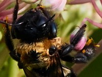 07-15-17-Nanjemoy-East-21298