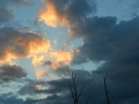 08-19-17-Piscataway-22964