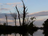 08-19-17-Piscataway-23021