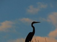 08-19-17-Piscataway-23025