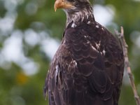 08-19-17-Piscataway-23178