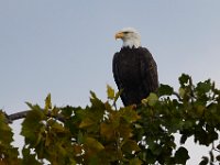 08-19-17-Piscataway-23206