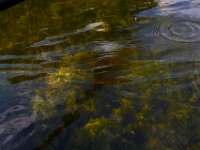 08-19-17-Piscataway-23337