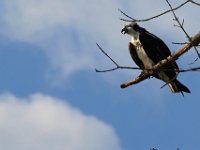 08-19-17-Piscataway-23364