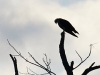 08-19-17-Piscataway-23383